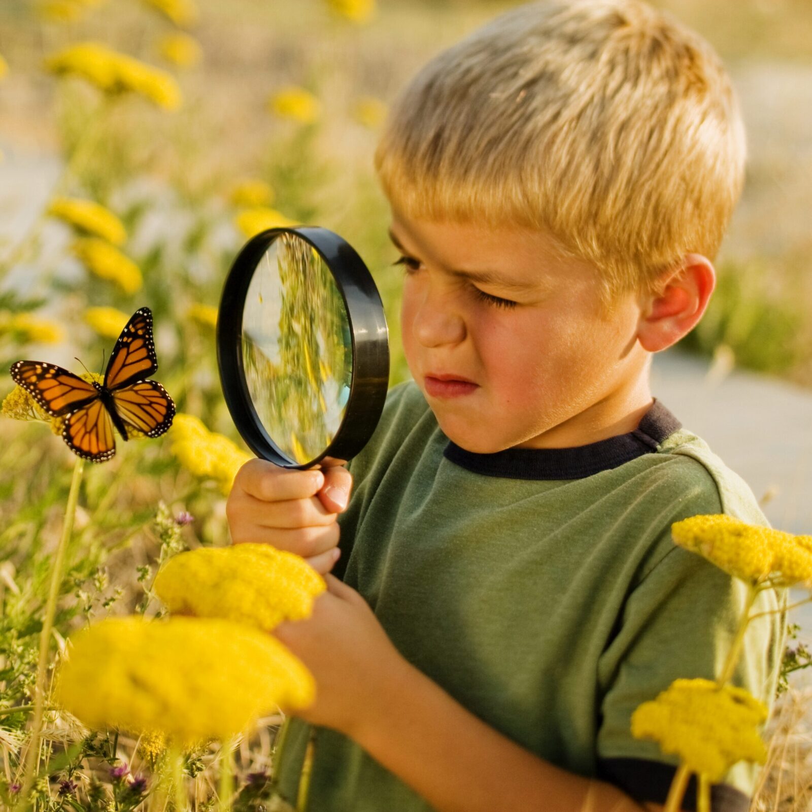 iStock_000006646915Large_jongen-met-vlinder-scaled-aspect-ratio-1600-1600